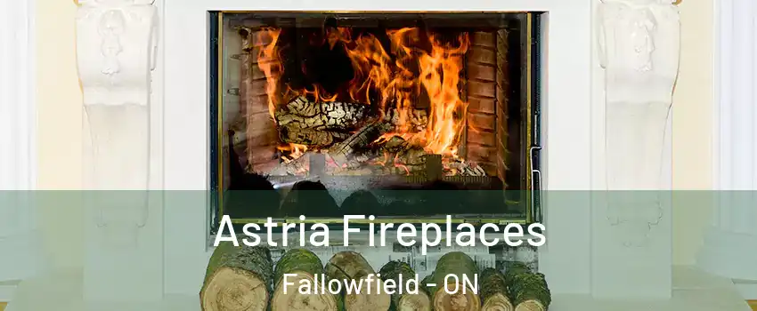  Astria Fireplaces Fallowfield - ON