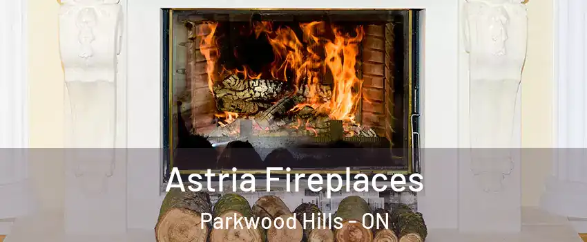  Astria Fireplaces Parkwood Hills - ON