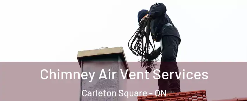  Chimney Air Vent Services Carleton Square - ON