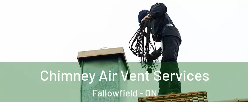  Chimney Air Vent Services Fallowfield - ON