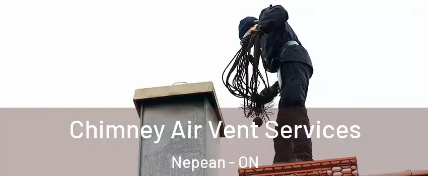  Chimney Air Vent Services Nepean - ON