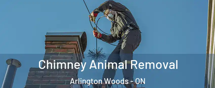  Chimney Animal Removal Arlington Woods - ON