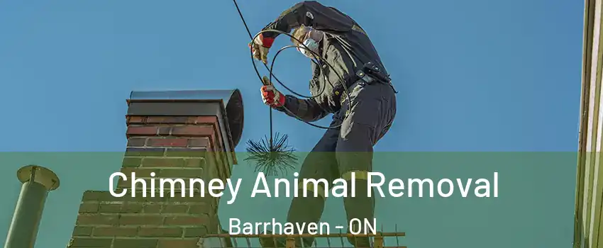 Chimney Animal Removal Barrhaven - ON