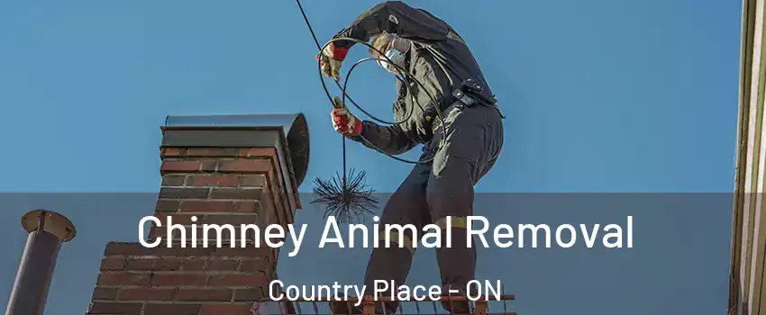 Chimney Animal Removal Country Place - ON