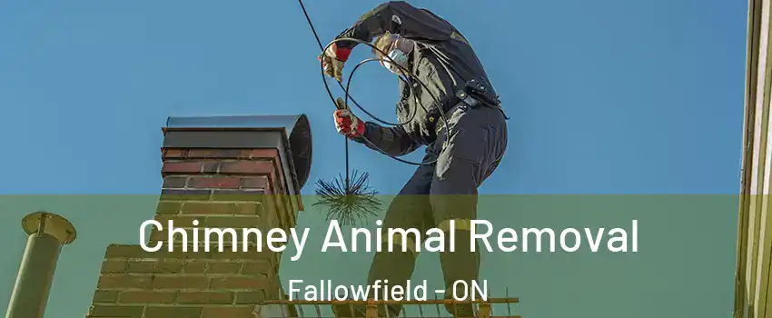  Chimney Animal Removal Fallowfield - ON