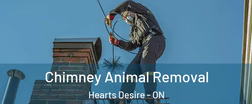  Chimney Animal Removal Hearts Desire - ON