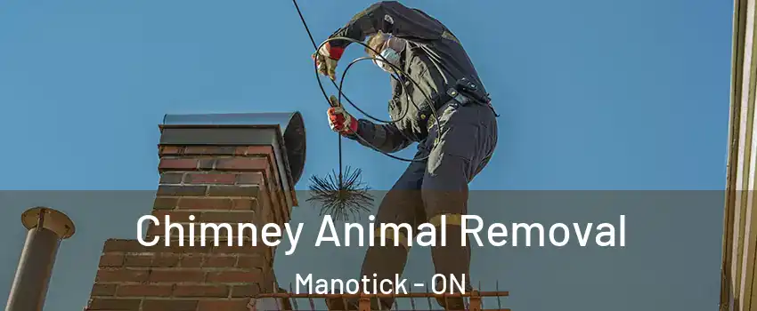  Chimney Animal Removal Manotick - ON