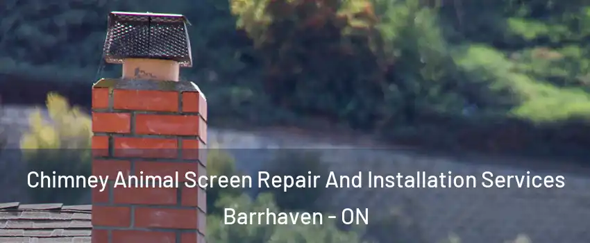 Chimney Animal Screen Repair And Installation Services Barrhaven - ON
