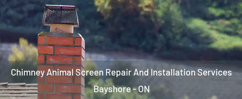  Chimney Animal Screen Repair And Installation Services Bayshore - ON