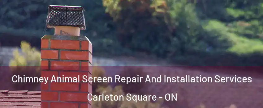  Chimney Animal Screen Repair And Installation Services Carleton Square - ON