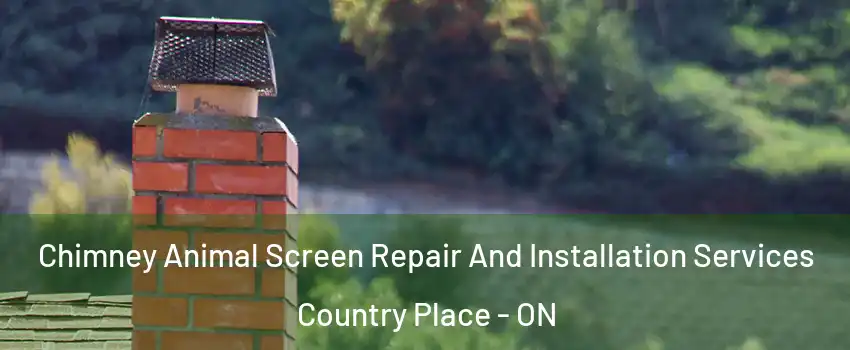  Chimney Animal Screen Repair And Installation Services Country Place - ON