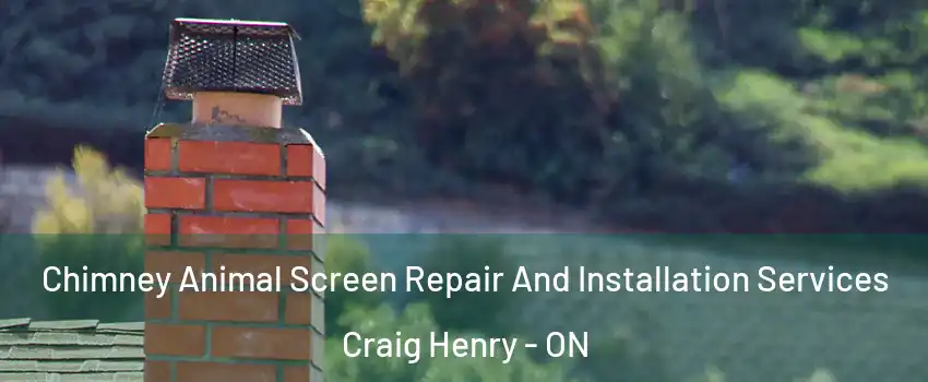  Chimney Animal Screen Repair And Installation Services Craig Henry - ON