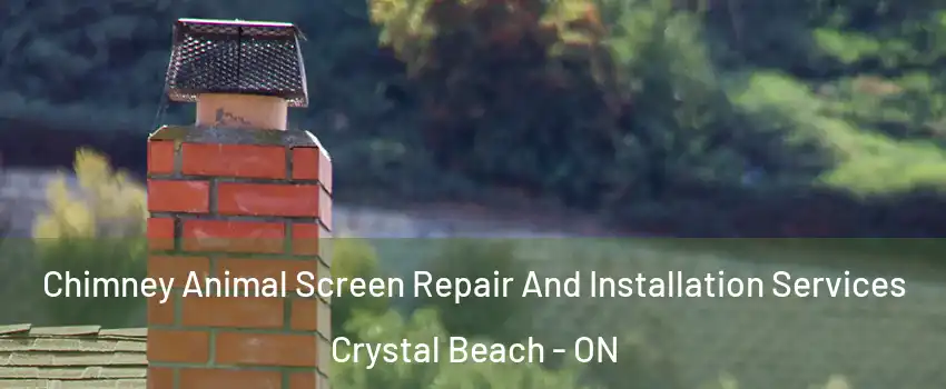  Chimney Animal Screen Repair And Installation Services Crystal Beach - ON