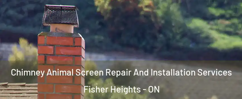  Chimney Animal Screen Repair And Installation Services Fisher Heights - ON