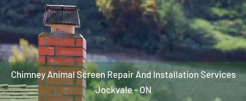Chimney Animal Screen Repair And Installation Services Jockvale - ON
