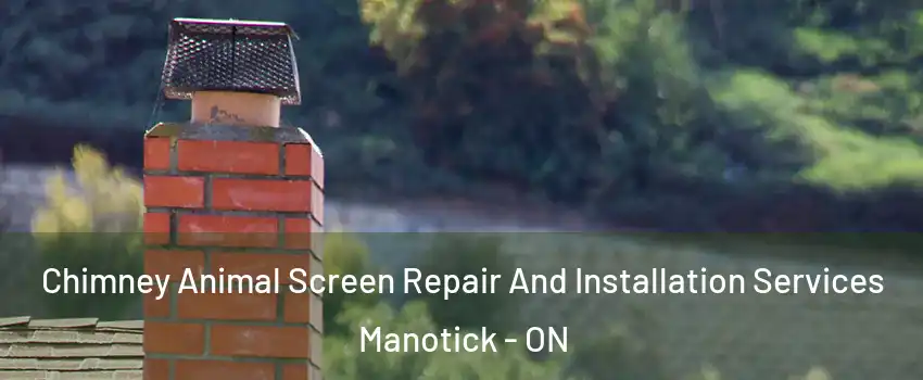 Chimney Animal Screen Repair And Installation Services Manotick - ON