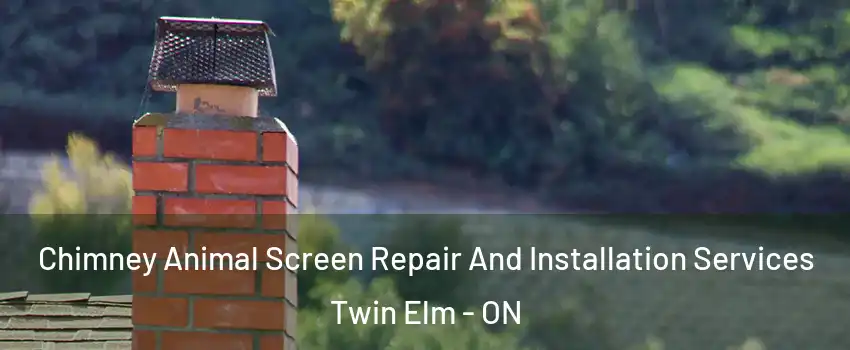  Chimney Animal Screen Repair And Installation Services Twin Elm - ON