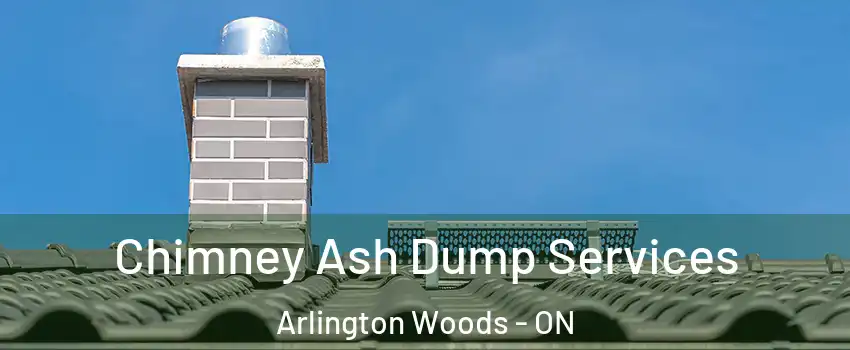  Chimney Ash Dump Services Arlington Woods - ON