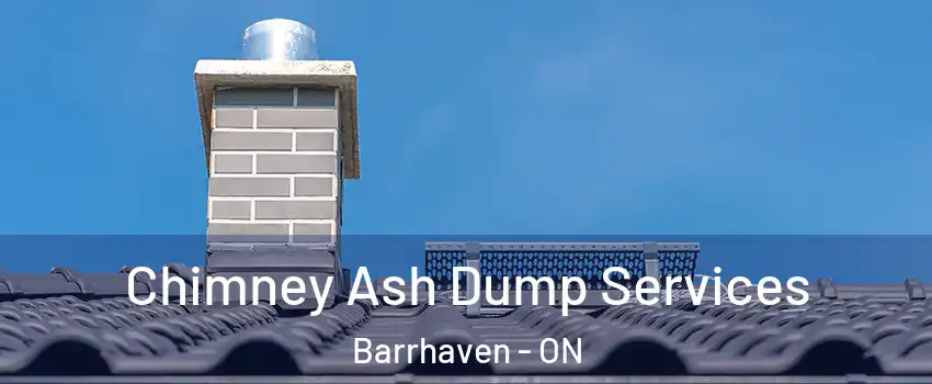  Chimney Ash Dump Services Barrhaven - ON