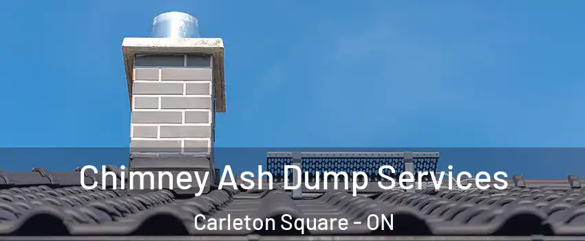  Chimney Ash Dump Services Carleton Square - ON