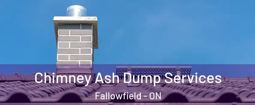  Chimney Ash Dump Services Fallowfield - ON