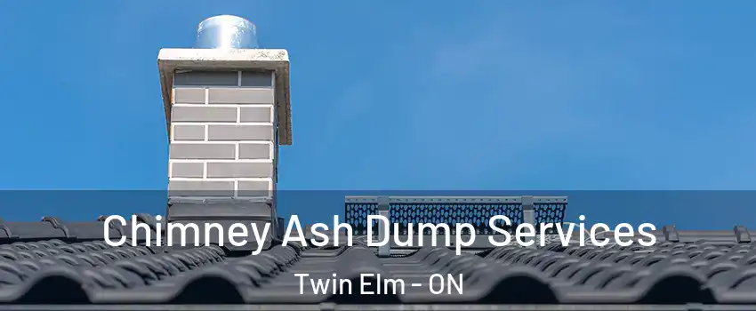  Chimney Ash Dump Services Twin Elm - ON