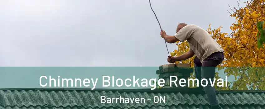  Chimney Blockage Removal Barrhaven - ON