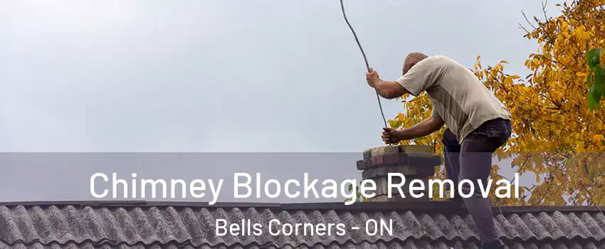  Chimney Blockage Removal Bells Corners - ON