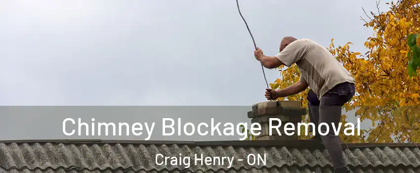  Chimney Blockage Removal Craig Henry - ON