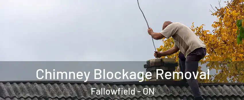  Chimney Blockage Removal Fallowfield - ON