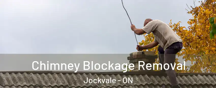  Chimney Blockage Removal Jockvale - ON