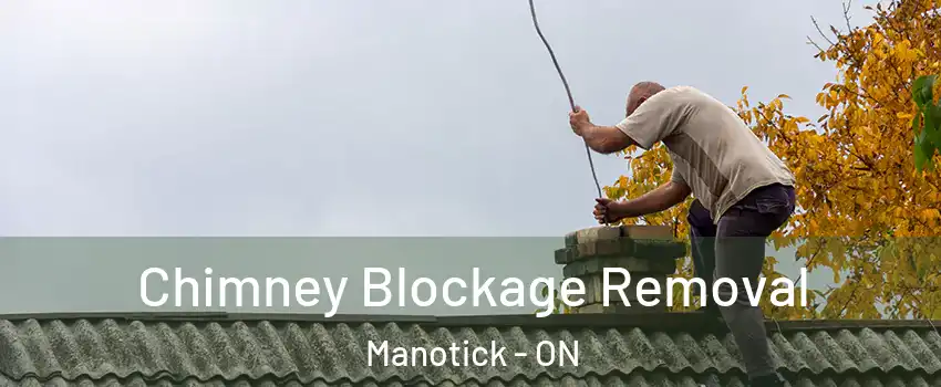  Chimney Blockage Removal Manotick - ON