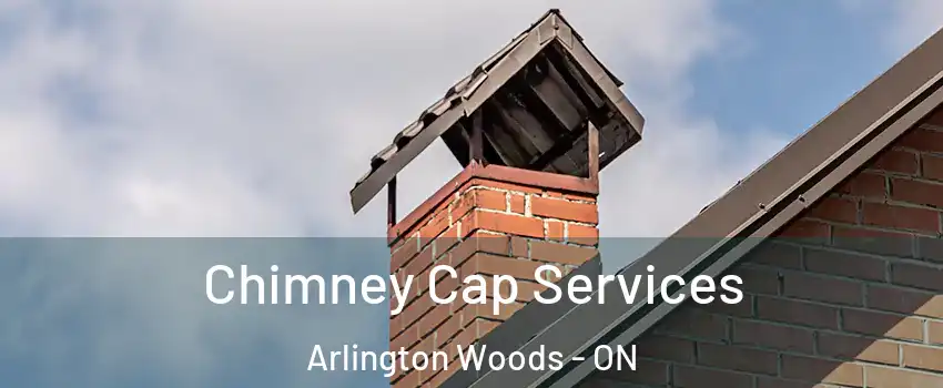  Chimney Cap Services Arlington Woods - ON