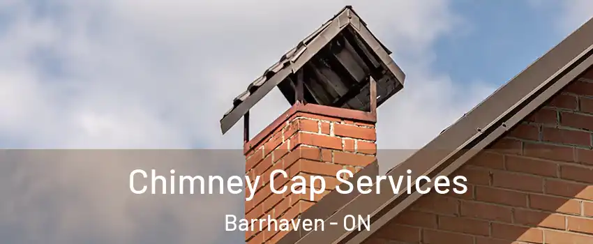  Chimney Cap Services Barrhaven - ON