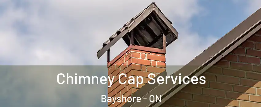  Chimney Cap Services Bayshore - ON
