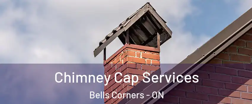 Chimney Cap Services Bells Corners - ON