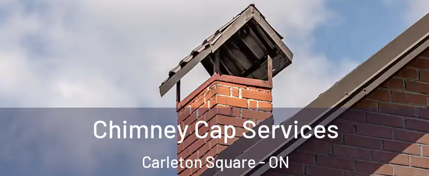  Chimney Cap Services Carleton Square - ON