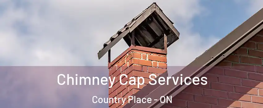  Chimney Cap Services Country Place - ON