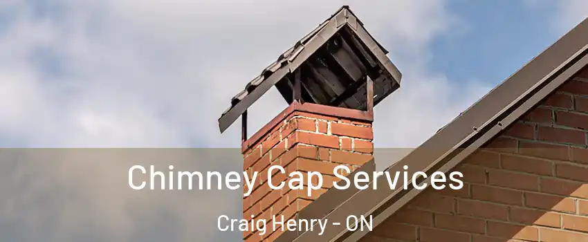  Chimney Cap Services Craig Henry - ON