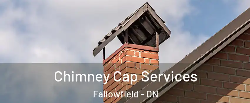  Chimney Cap Services Fallowfield - ON