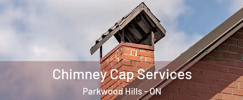  Chimney Cap Services Parkwood Hills - ON
