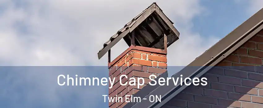  Chimney Cap Services Twin Elm - ON