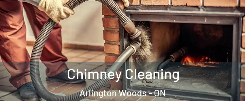  Chimney Cleaning Arlington Woods - ON