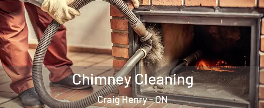  Chimney Cleaning Craig Henry - ON