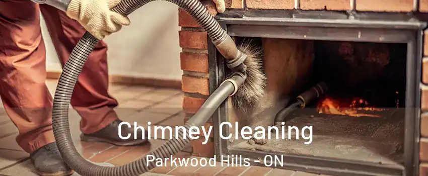  Chimney Cleaning Parkwood Hills - ON