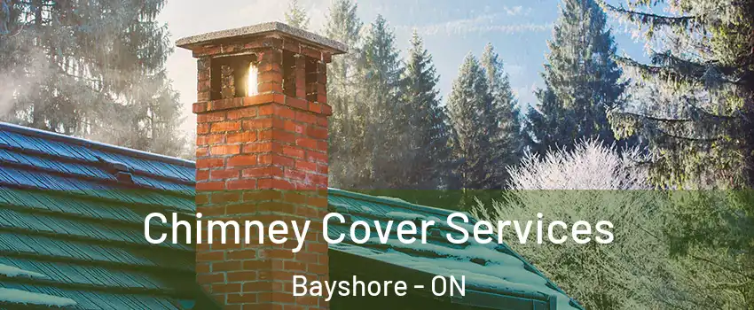  Chimney Cover Services Bayshore - ON