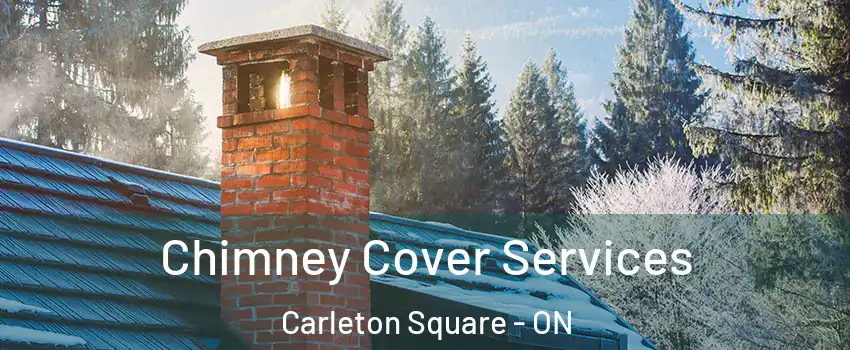  Chimney Cover Services Carleton Square - ON
