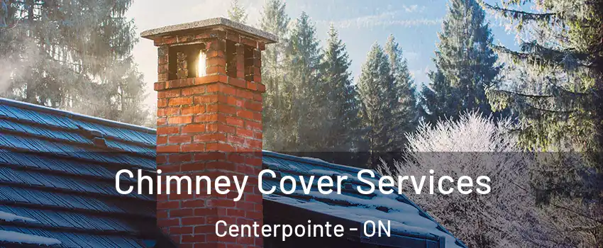  Chimney Cover Services Centerpointe - ON
