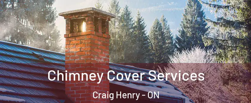  Chimney Cover Services Craig Henry - ON