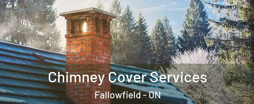  Chimney Cover Services Fallowfield - ON